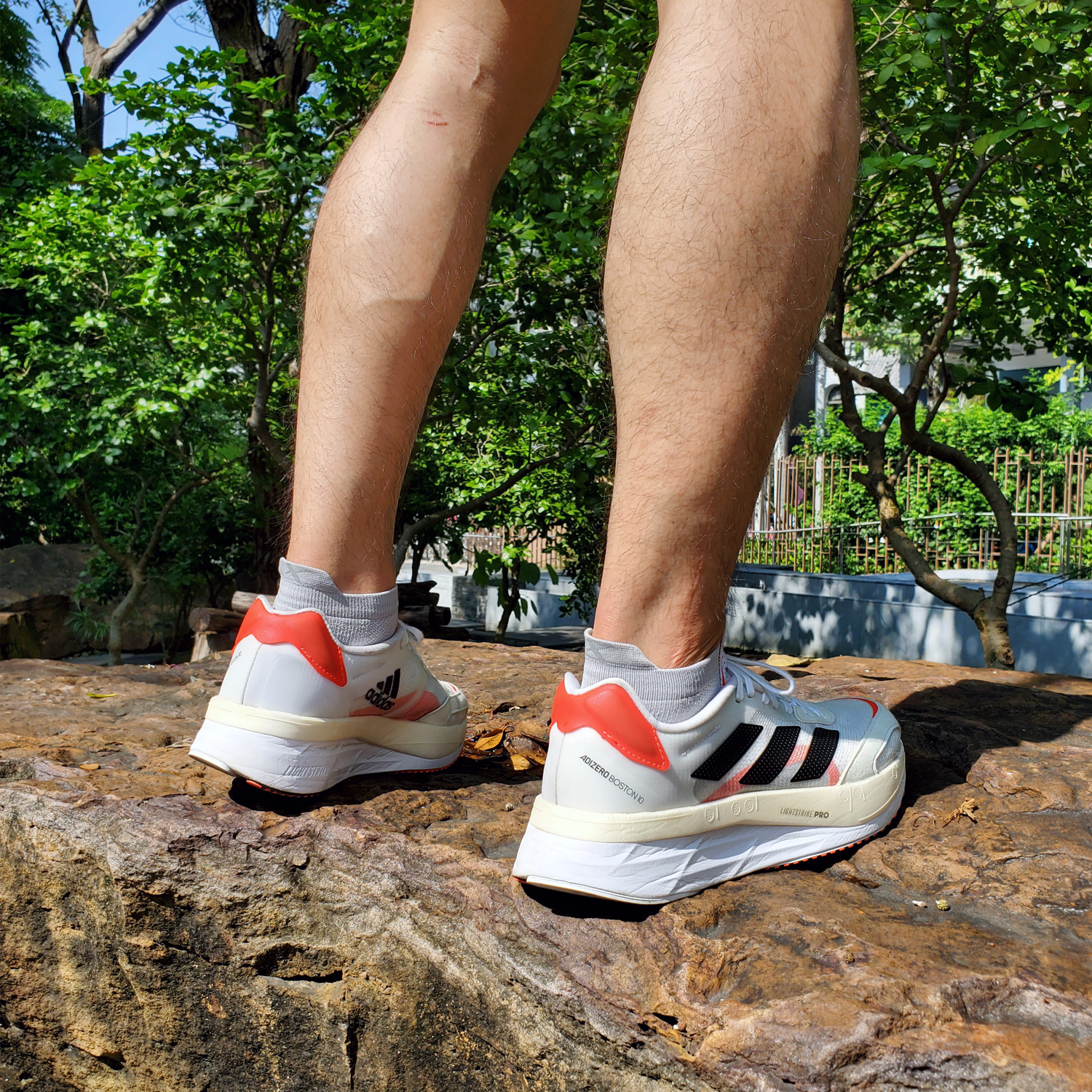Xpress GRIP | Performance No-Show Tab Socks - Image 19