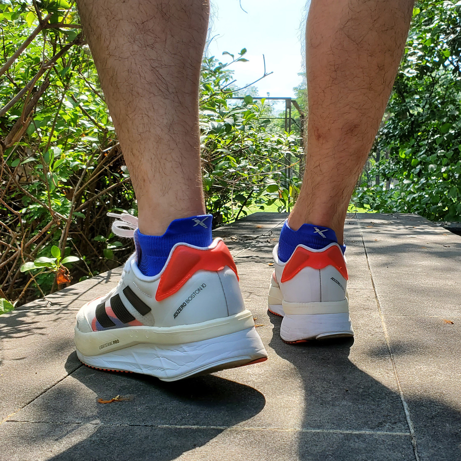 Xpress GRIP | Performance No-Show Tab Socks - Image 25